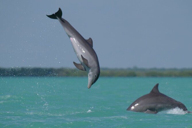 Sian Ka'an Classic - A Deep Dive into the Sian Kaan Classic Tour