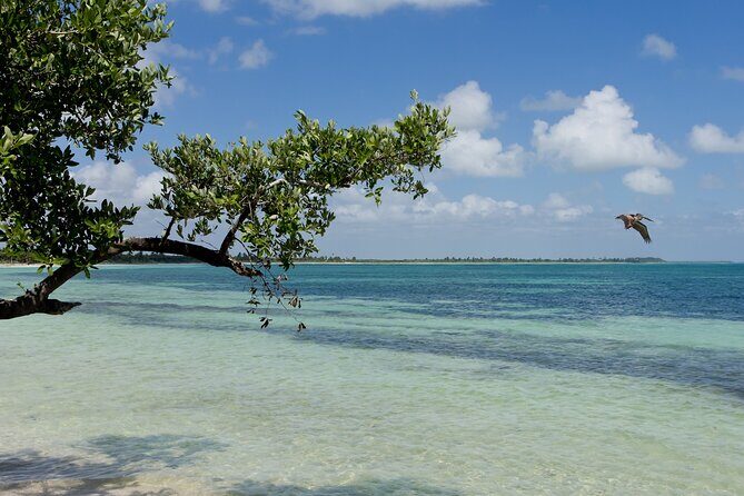 Sian Kaan Eco Adventure! Round Transportation From Playa Del Carmen - Final Thoughts: Is It Worth It?