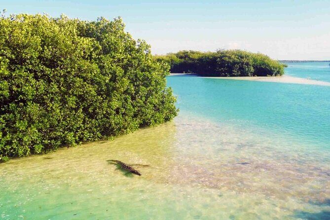 Sian Kaan Reserve Private Bike Tour - An In-Depth Look at the Tour Itself