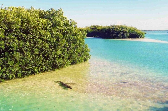 Sian Kaan Reserve Private Bike Tour - Final Thoughts