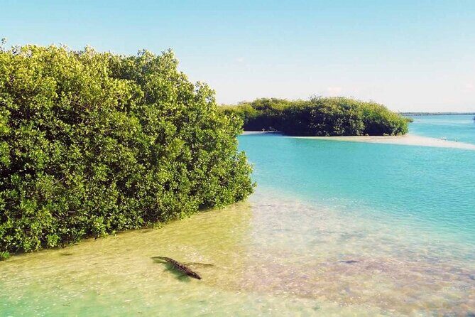 Sian Ka'an Reserve Tour - Exploring the Day in Detail