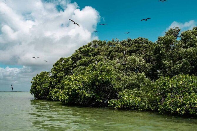 Sian Ka'an Reserve Tour - Final Thoughts