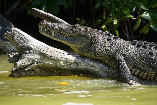 Sian Kaan Sunset Private boat. - FAQ