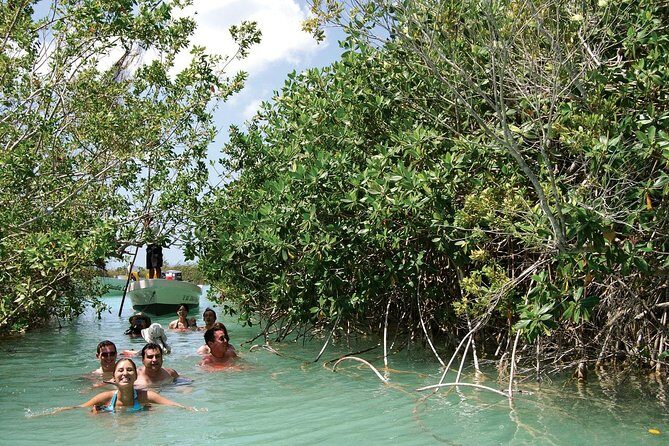Sian Ka'an the green jewel, Biosphere Reserve Tour. Lunch & Snorkel included. - Is This Tour Worth It?