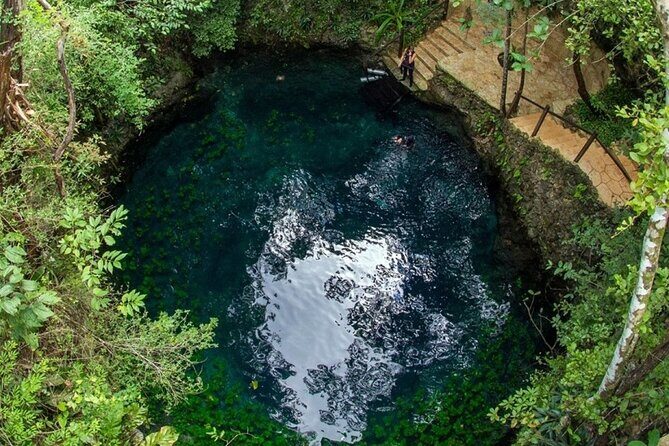 Sian Kaan Tour of Muyil Ruins and a Swim in Magical Cenote - A Deep Dive into the Tour Itself