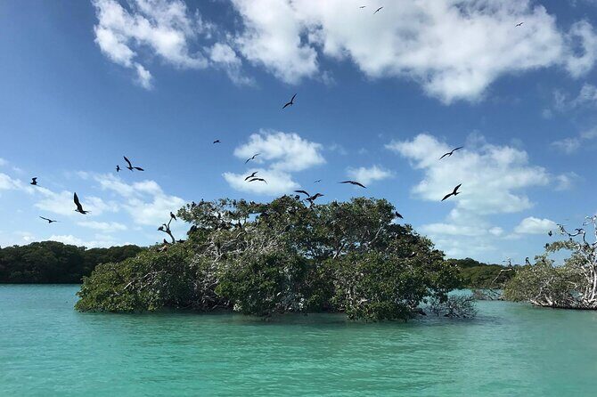 Sian Ka'an Trip from Playa del Carmen & Tulum - Final Thoughts