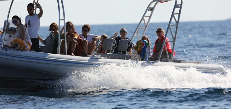 Sibenik: Full-Day Kornati National Park Boat Tour - Exploring the Kornati Archipelago: What You Can Expect