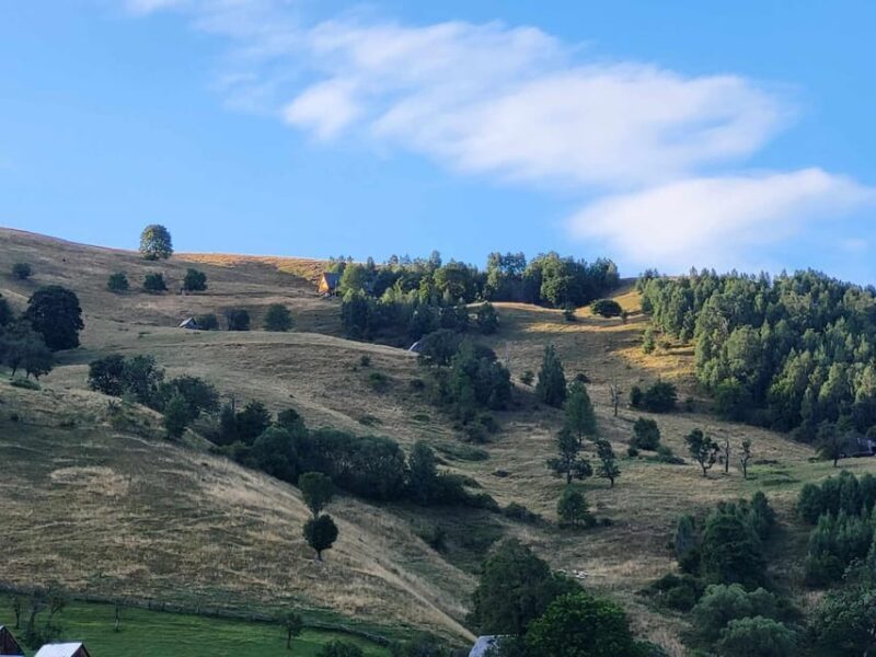 Sibiu: Cindrel Mountains Hike with Traditional Brunch - What to Expect on the Cindrel Mountains Hike