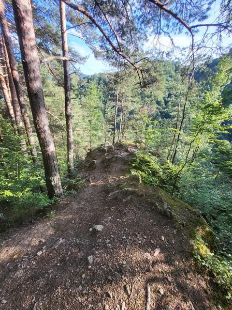 Sibiu: Cindrel Mountains Hike with Traditional Brunch - Who Will Love This Tour?