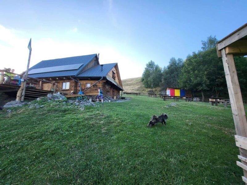 Sibiu: Cindrel Mountains Hike with Traditional Brunch - Final Thoughts