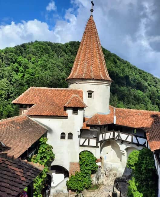 Sibiu: Dracula's Castle and Dino Park Day Trip - Practical Tips for Your Day Out