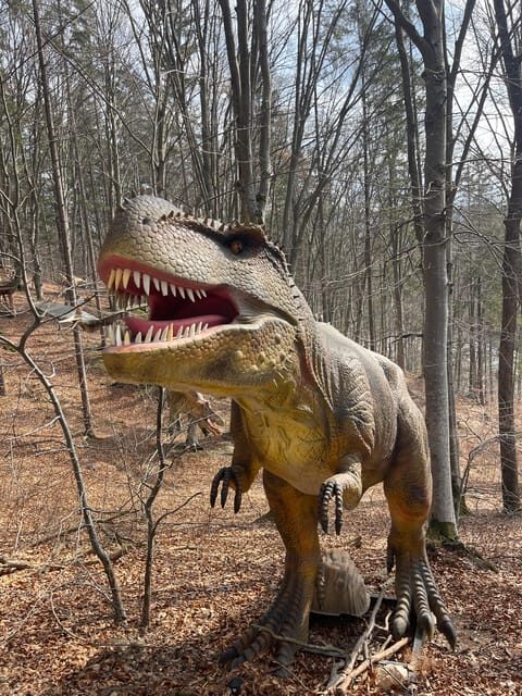 Sibiu: Dracula's Castle and Dino Park Day Trip - Who Should Consider This Tour?