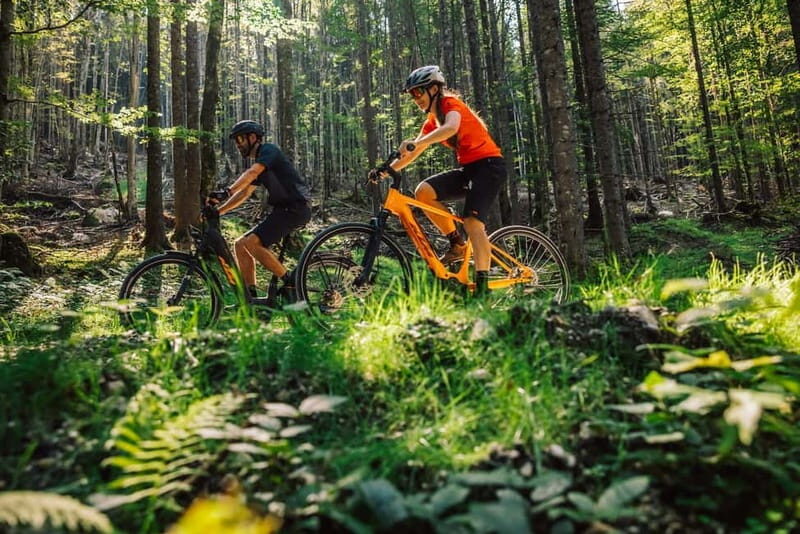 Sibiu: Full-Suspension E-Bike Rental - Who Should Consider This Experience?