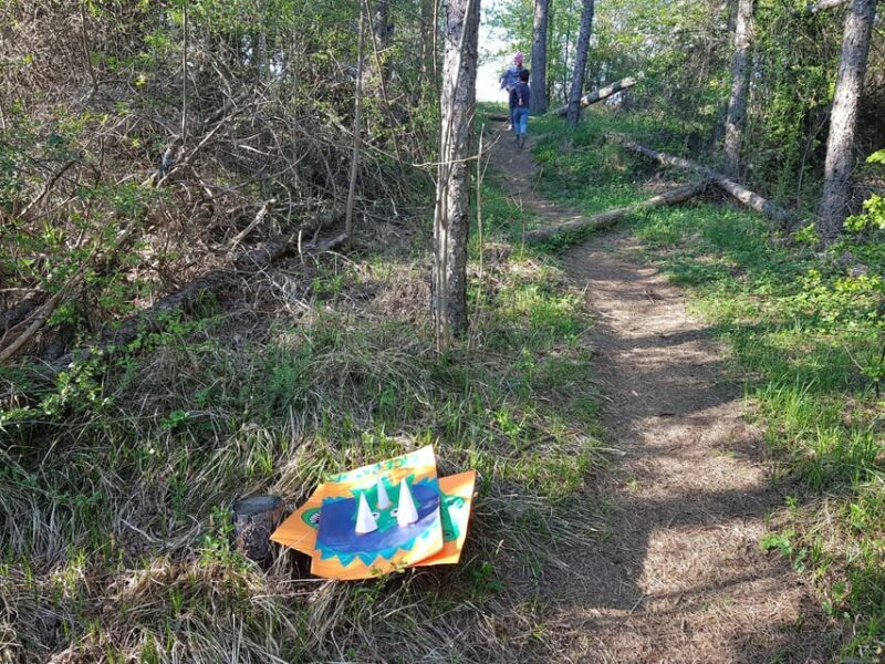 Sibiu panorama by evening, tour of Gusterita Hill - What Is the Sibiu Panorama by Evening Tour?