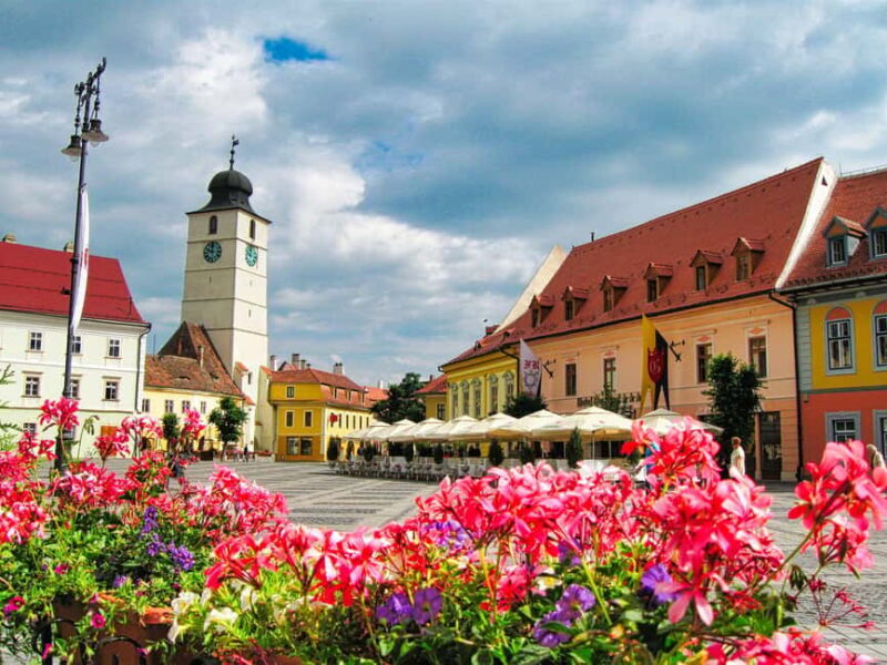 Sibiu & wine tasting tour (from Cluj) - Who Should Consider This Tour?