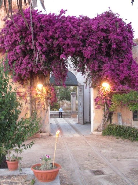Sicilian cooking class in the historic baglio Florio Adamo - The Real Value of This Experience