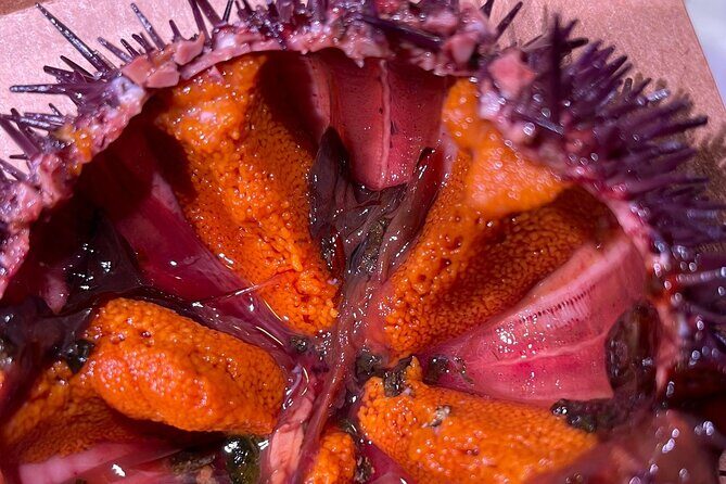 Sicilian food - What to Expect From the Sicilian Food Tour