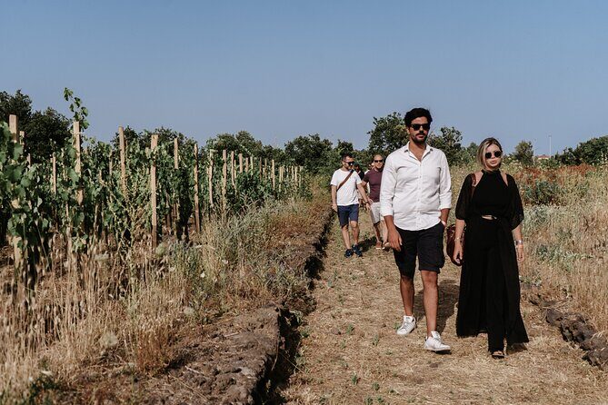 Sicilian Lunch with Wine Tasting - An In-Depth Look at the Sicilian Lunch and Wine Tasting Tour