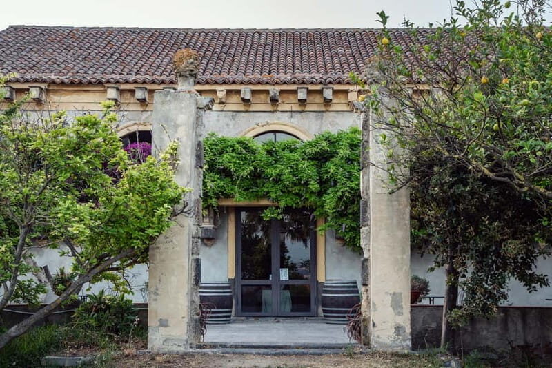 Sicilian Soul: Winery Tour, Wine & Food Tasting in Catania - Key Points