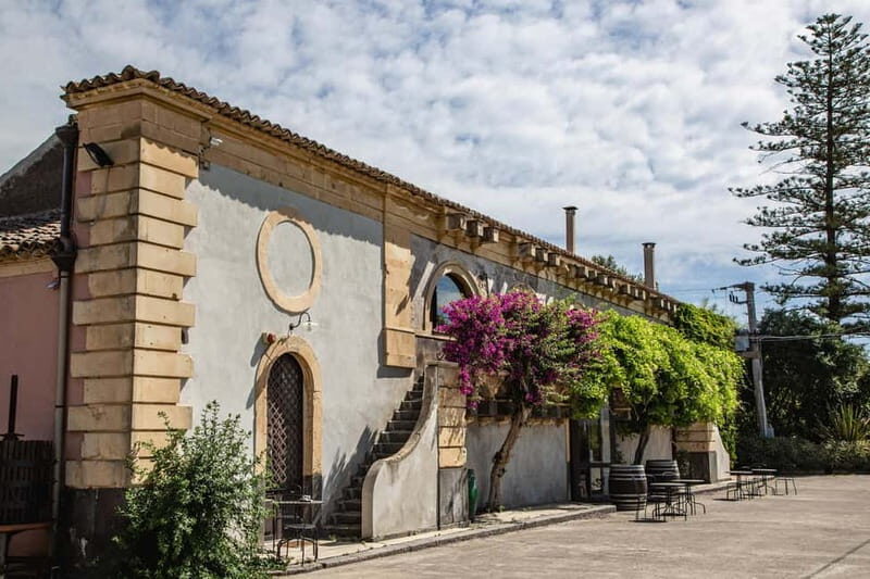 Sicilian Soul: Winery Tour, Wine & Food Tasting in Catania - What To Expect from the Experience
