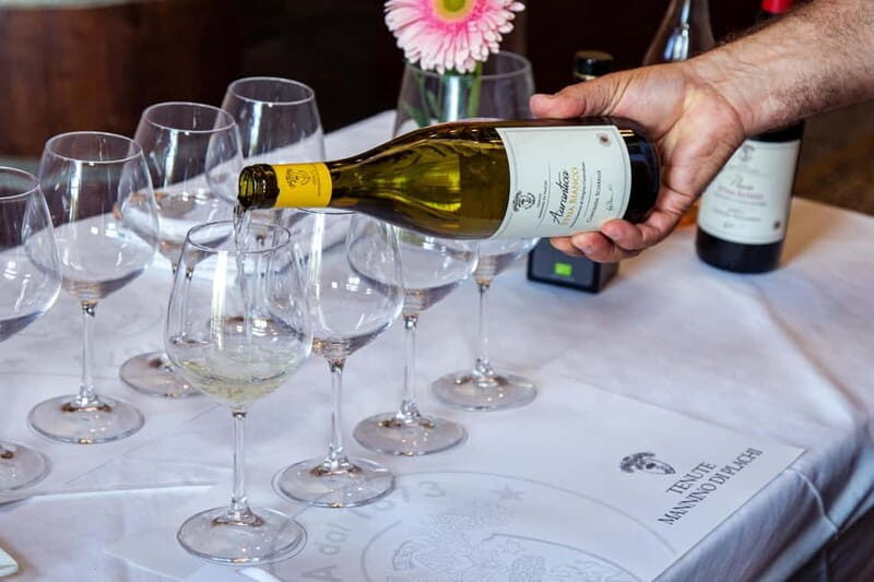 Sicilian Soul: Winery Tour, Wine & Food Tasting in Catania - Final Thoughts