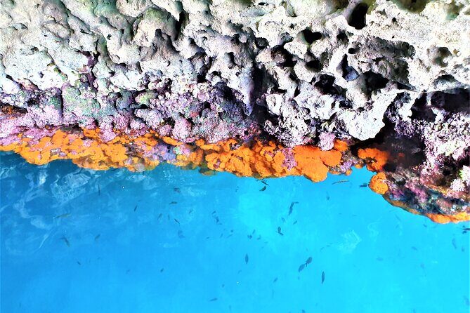 Sicilian wine tasting on the boat in Taormina - The Itinerary in Detail