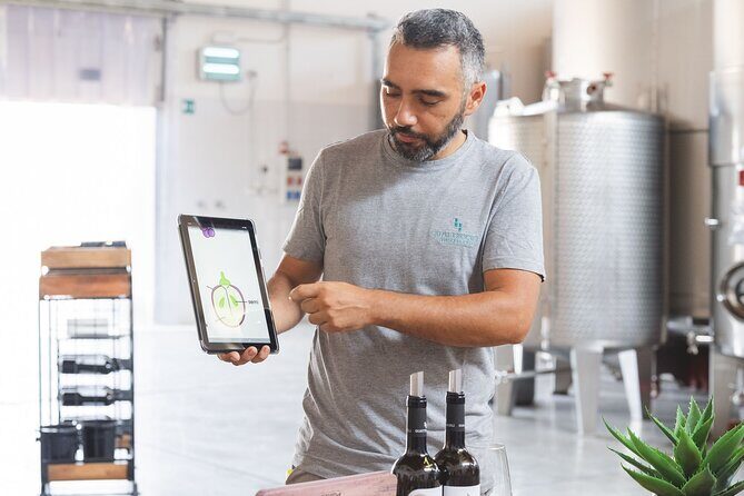 Sicilian Winery Experience in Alcamo - Introducing the Sicilian Winery Experience in Alcamo