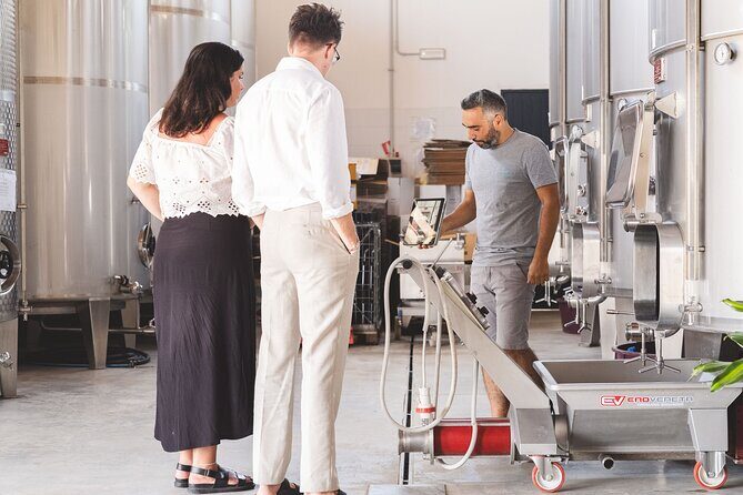 Sicilian Winery Experience in Alcamo - Key Points