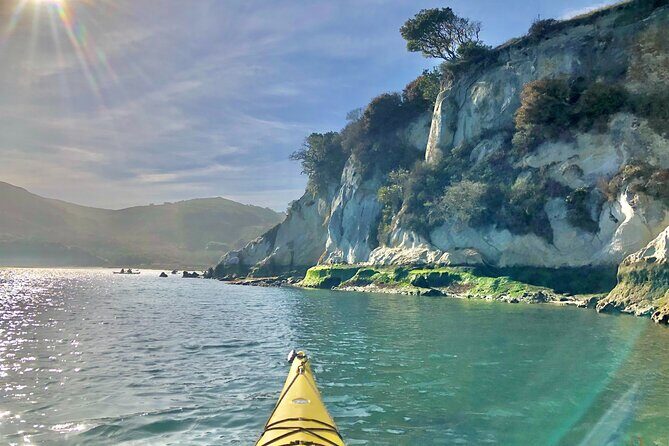 Sick Day Midweek Kayak Tour on Tomales Bay - Key Points