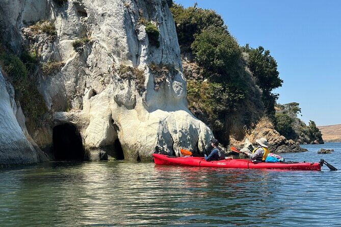 Sick Day Midweek Kayak Tour on Tomales Bay - A Detailed Look at the Kayak Tour Experience