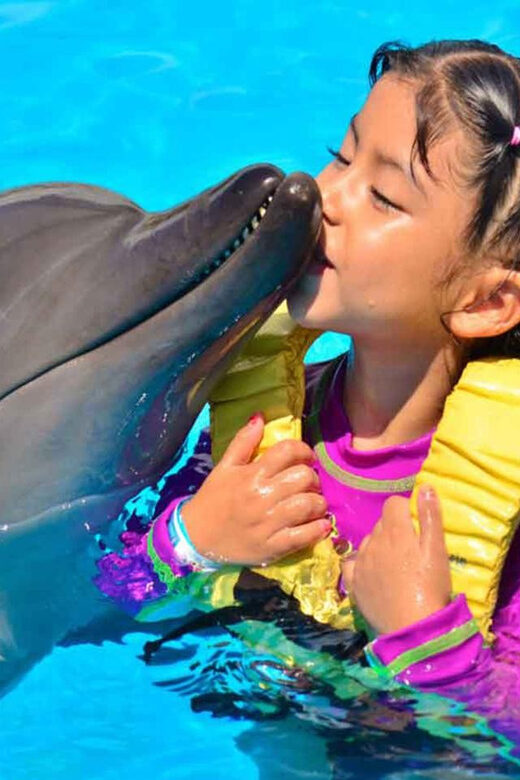 Side/Alanya: Swimming with Dolphins and Dolphin Show - Pricing and Value