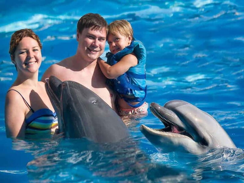 Side/Alanya: Swimming with Dolphins and Dolphin Show - The Experience, From a Travelers Perspective