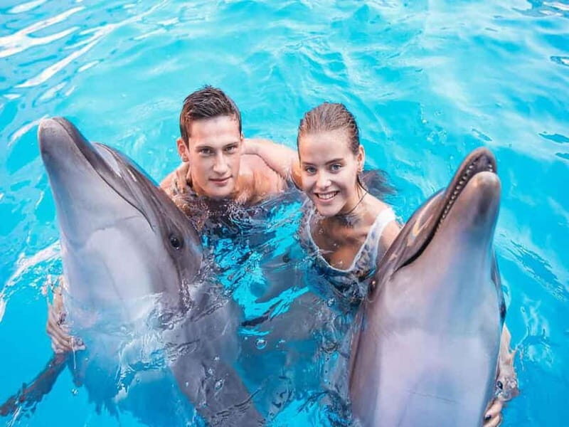 Side/Alanya: Swimming with Dolphins and Dolphin Show - Final Thoughts