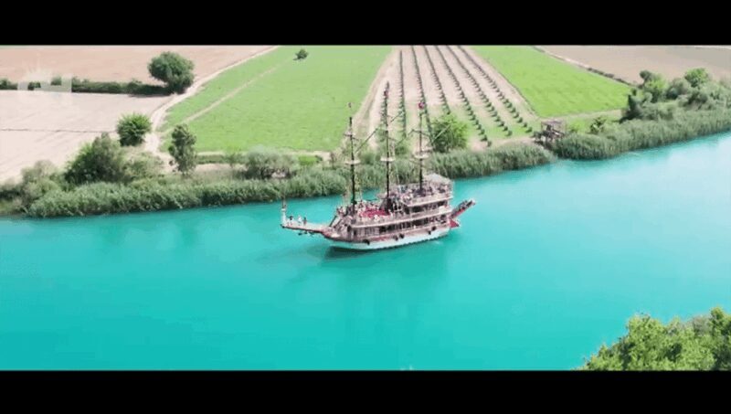 Side: Dolphin Island Boat Tour : A Seaside Adventure - Key Points