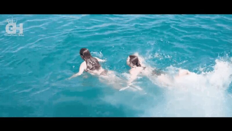 Side: Dolphin Island Boat Tour : A Seaside Adventure - An In-Depth Look at the Dolphin Island Boat Tour