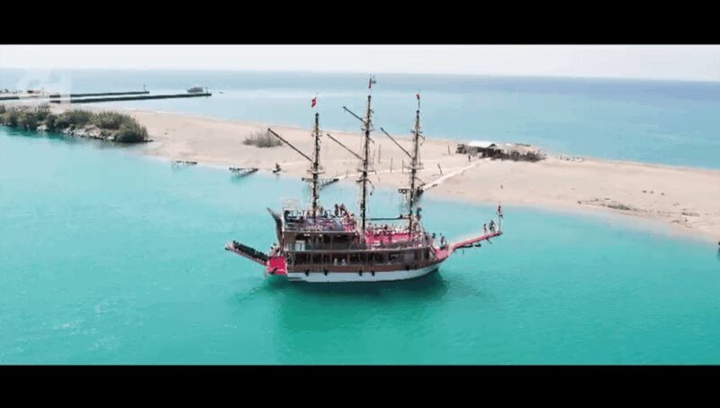 Side: Dolphin Island Boat Tour : A Seaside Adventure - Who Is This Tour Best For?