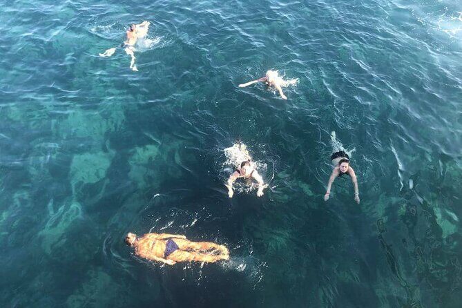 Side: Dolphin Island Boat Tour with Foam Party and Lunch - Who Should Book This Tour?