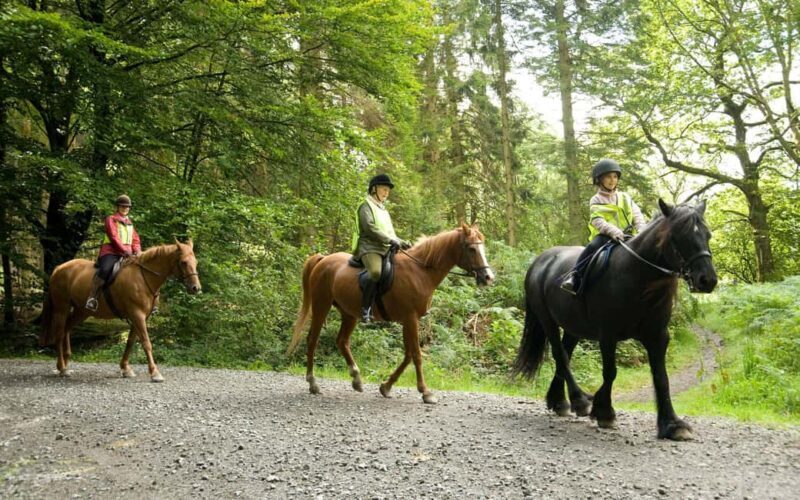 Side: Horse Riding Experience with Pony Option - Key Points