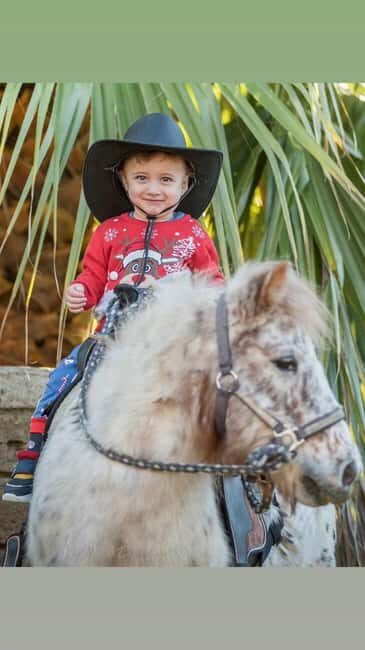Side: Horse Safari and Family Activity Park Entry - Side: Horse Safari and Family Activity Park Entry – A Detailed Look