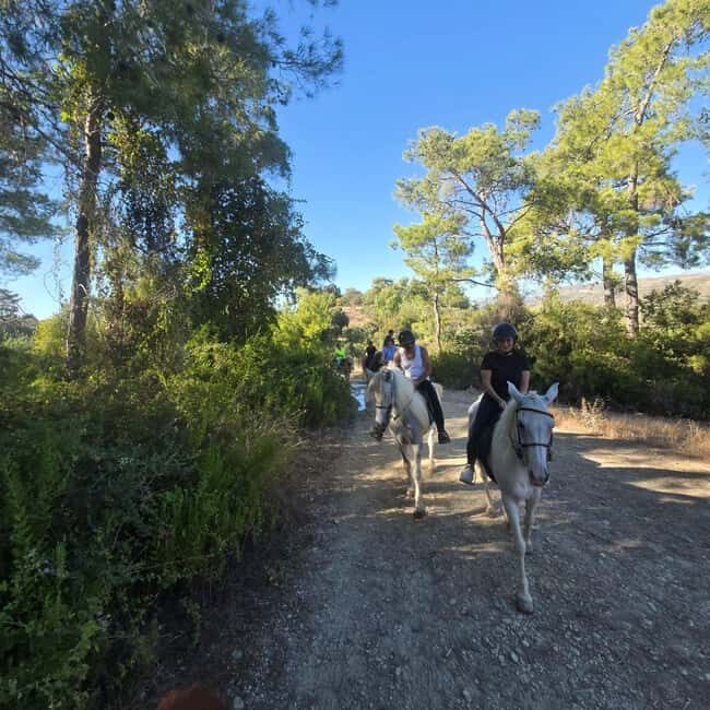 Side: Horse Safari and Family Activity Park Entry - Inside the Complex: Relaxation and Play