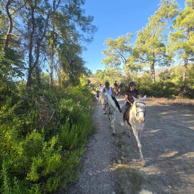 Side: Horse Safari and Family Activity Park Entry - FAQs