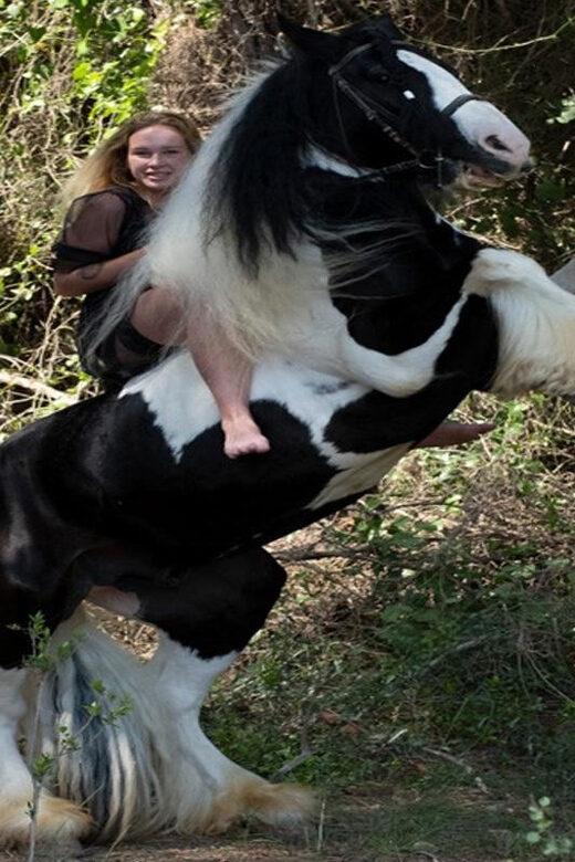 Side: Horse Safari Tour - The Value for Money