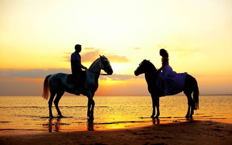 Side: Horseback Riding Tour in Nature with Transfer - The Horses and Guides