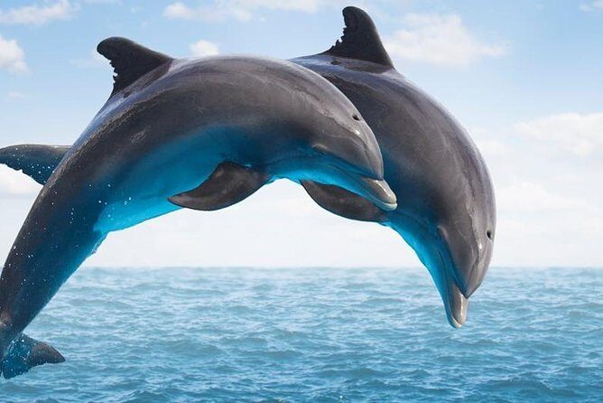 Side:Explore Manavgat Market & Waterfalls on a Scenic Boat Tour - Final Thoughts: Is This Tour for You?