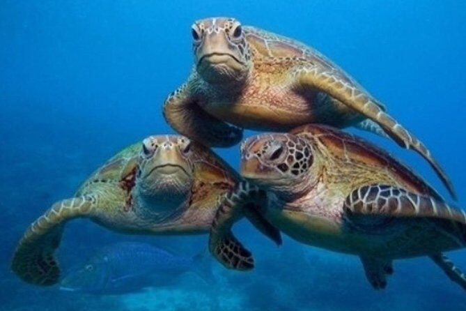 Side:Explore Manavgat Market & Waterfalls on a Scenic Boat Tour - Frequently Asked Questions