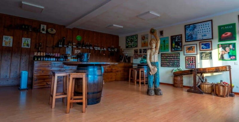 Sidra Vda. de Angelón: guided visit to a cider mill with tasting - What to Expect from the Tour