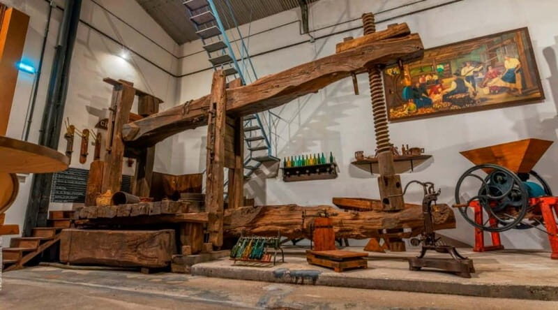 Sidra Vda. de Angelón: guided visit to a cider mill with tasting - Practicalities and Value