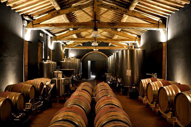 Siena: A Wine Tour and Tasting Experience - Practicalities & What to Keep in Mind