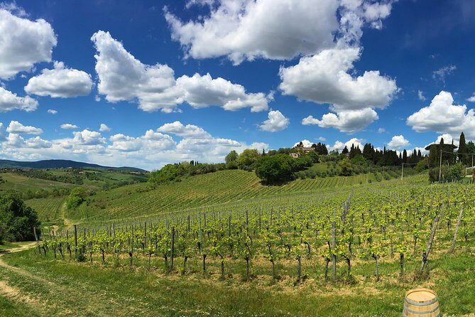 Siena: A Wine Tour and Tasting Experience - FAQs