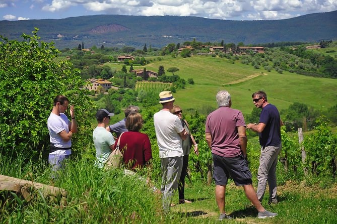 Siena: A Wine Tour and Tasting Experience - Stop 4 Light Lunch: Pairing Wine, Food, and Organic Olive Oil